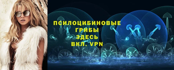 мдпв Нея